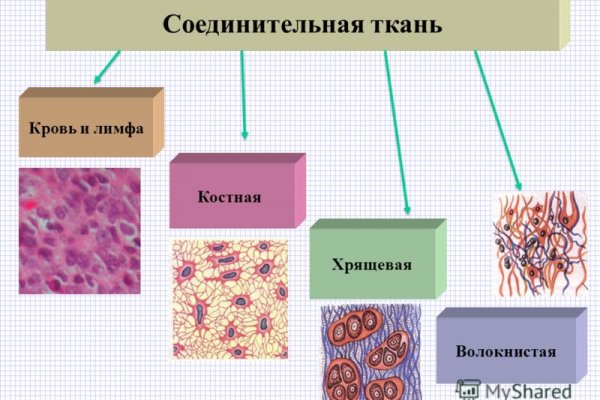 Kraken сайт анонимных