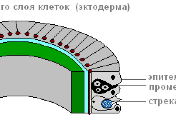 Kraken магазин тор