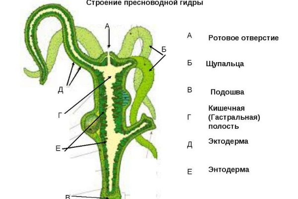 Что с кракеном сайт