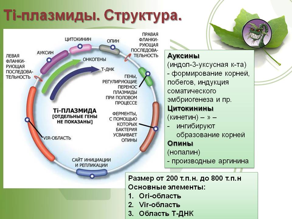 Kraken ссылка на сайт тор