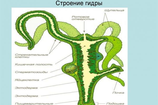 Кракен онион не работает